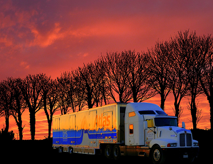Pearl Shipping Agencies